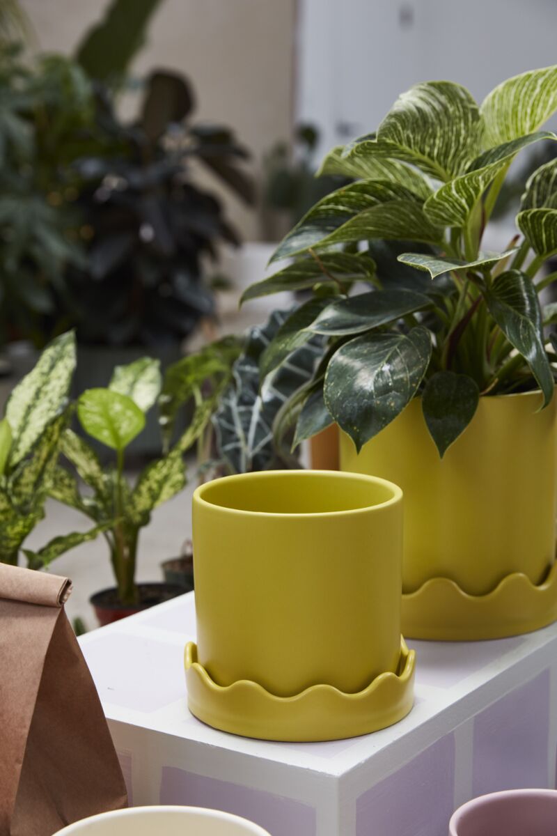 pissarro pot plant pot from flower + furbish Shop now at flower + furbish