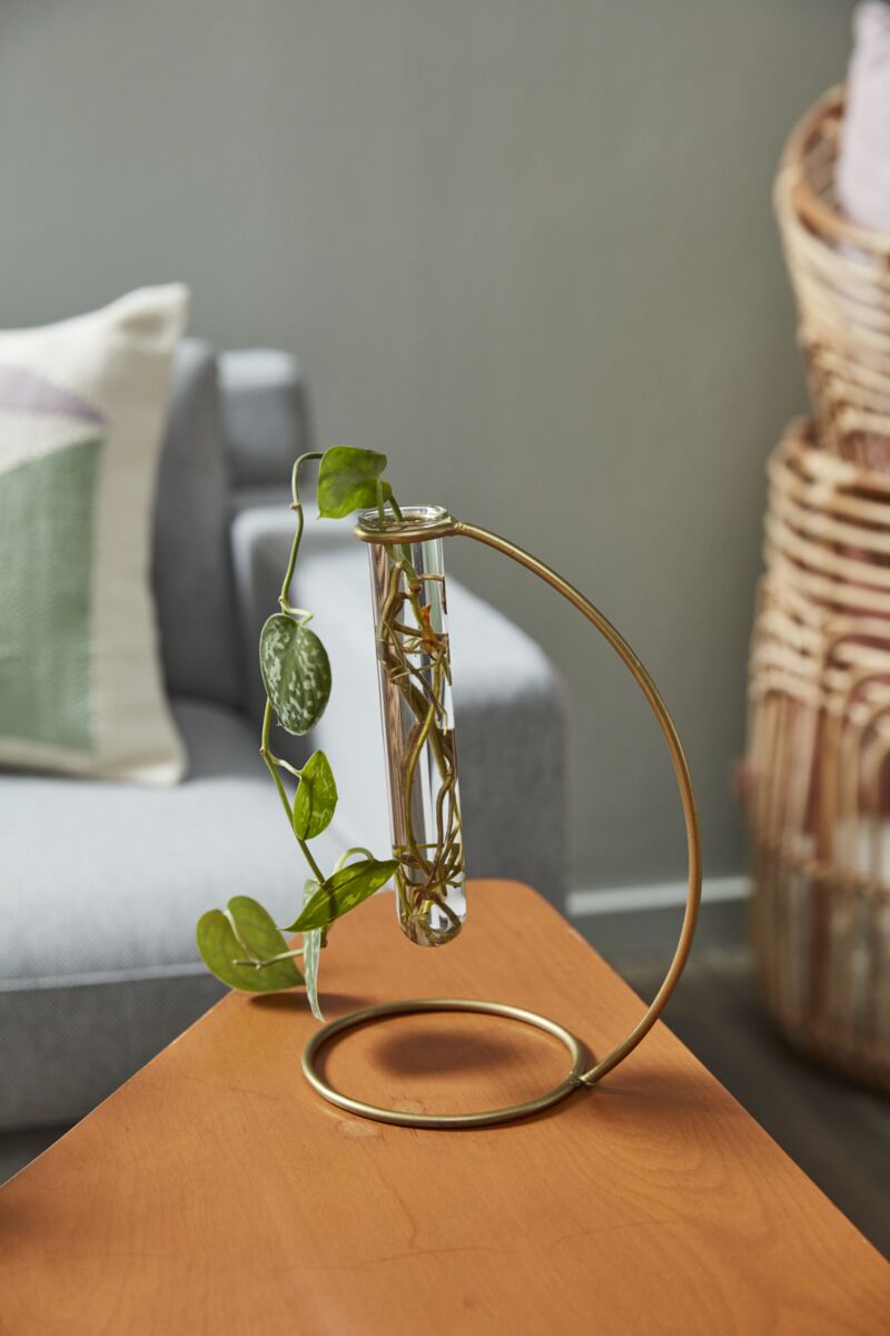 riviera propagation stand vase from flower + furbish Shop now at flower + furbish