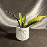 roar pot shop now at flower + furbishGift, plant pot, Planter, Pot, shipping, vessel