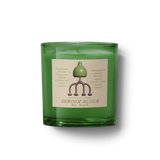 shroom bloom boy smells candle candle from flower + furbish Shop now at flower + furbish