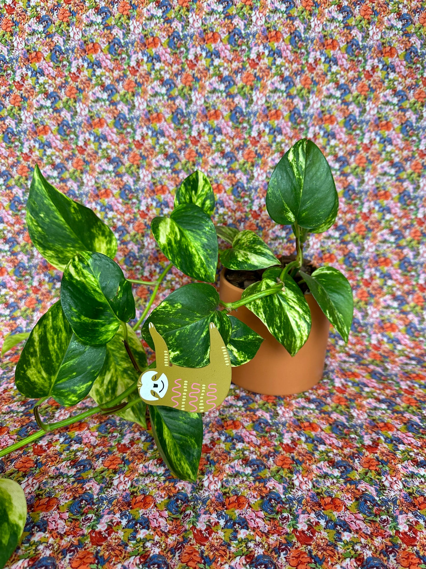 sloth plant pal plant stick from flower + furbish Shop now at flower + furbish