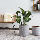 spot on pot plant pot from flower + furbish Shop now at flower + furbish