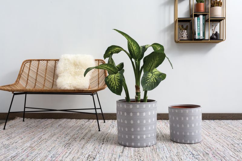 spot on pot plant pot from flower + furbish Shop now at flower + furbish