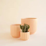 monroe planter shop now at flower + furbish