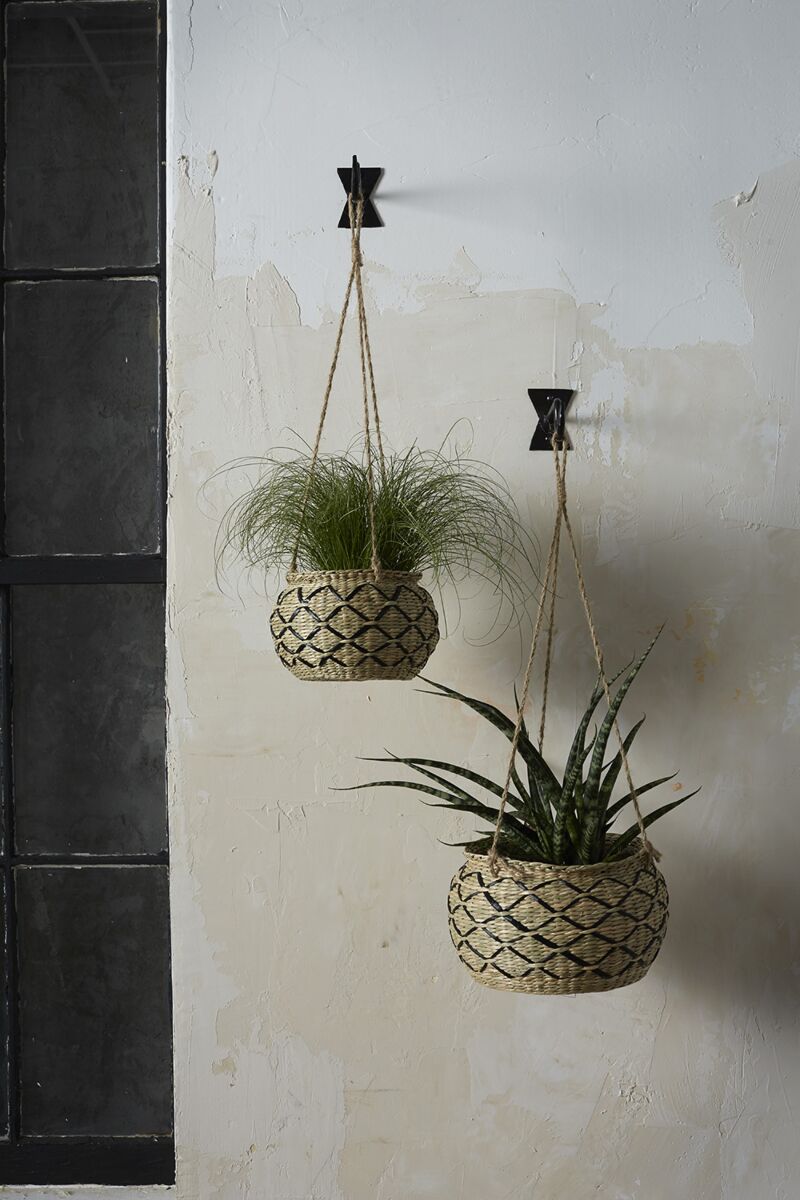 tia hanging pot shop now at flower + furbishGift, Hanging basket, hanging pot, plant pot, Planter, Pot, shipping, vessel