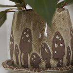 wild mushroom pot and saucer shop now at flower + furbishshipping